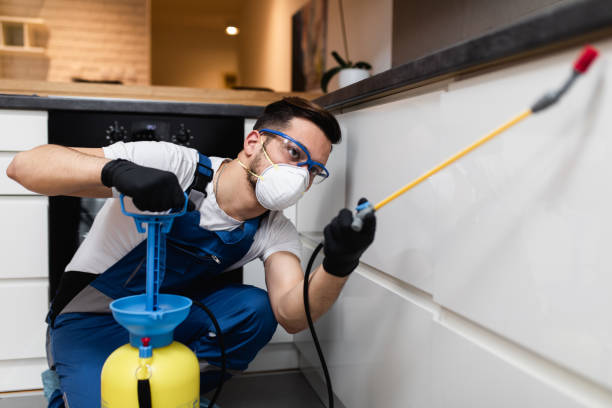 Best Best Pest Control Companies  in Ione, CA