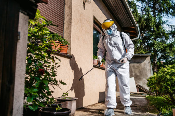 Best Termite Control Services  in Ione, CA