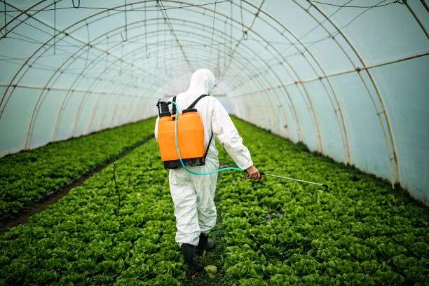 Best Pest Control Near Me  in Ione, CA