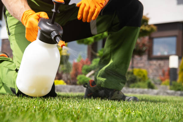 Trusted Ione, CA Pest Control Experts