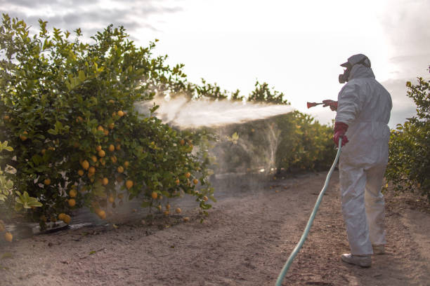 Best Pest Prevention Services  in Ione, CA