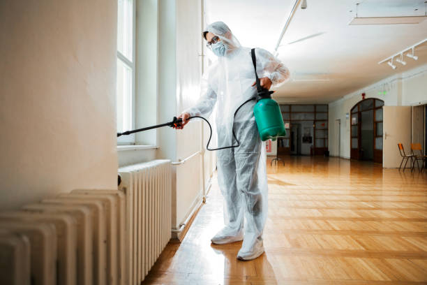 Best Rat Extermination Near Me  in Ione, CA