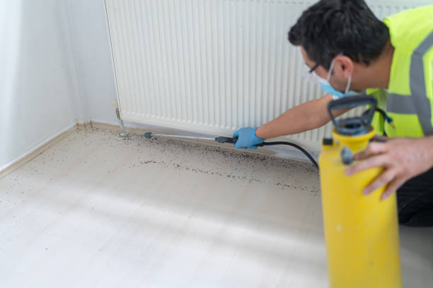Best Mosquito Control Services  in Ione, CA